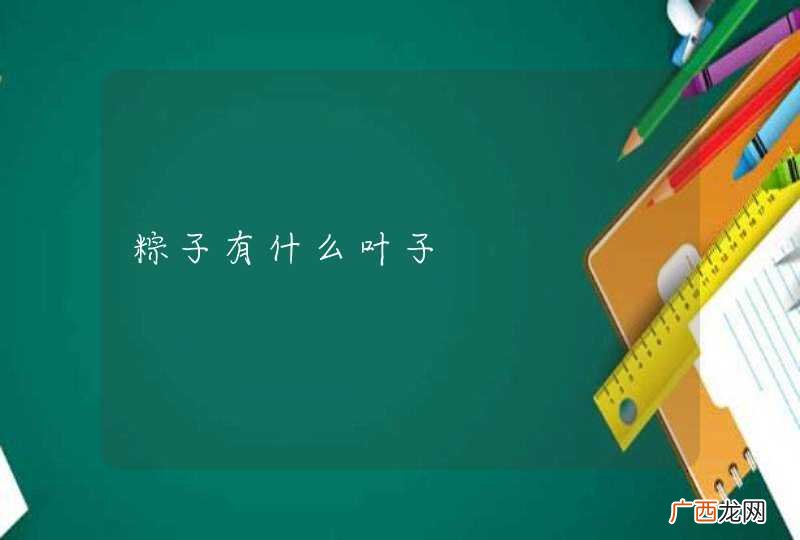 粽子有什么叶子
