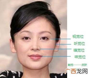 一个耳一个舌是什么字,一个耳旁一个舌字念什么？