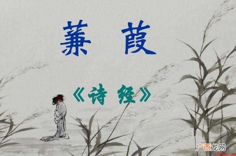 《秦风·蒹葭》主题思想是啥 《秦风·蒹葭》创作背景是什么