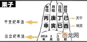 天干共有几个字,天干地支里那些字都如何读？