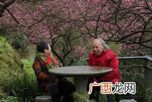 花甲是指多少岁,花甲一般指多少岁?70岁称为什么?