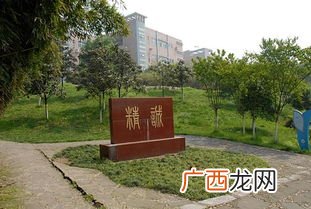 川北医学院是几本,南充川北医学院临床专业是几本？