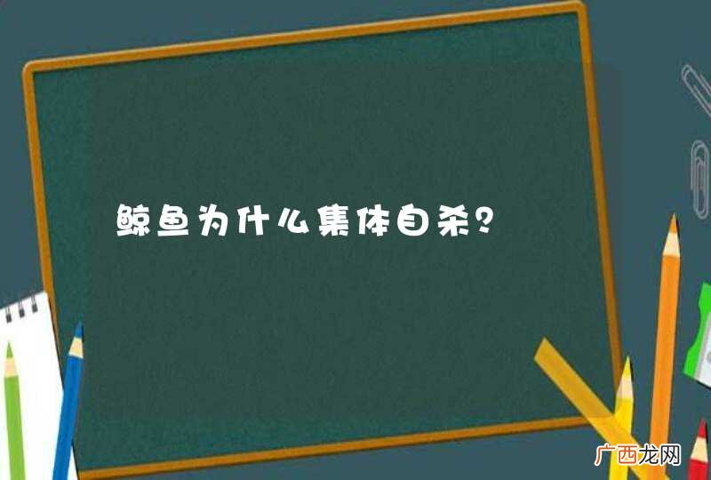 鲸鱼为什么集体自杀？