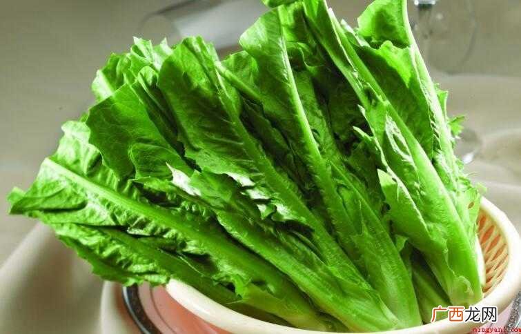 油麦菜和莴笋叶的区别是啥 油麦菜和莴笋叶的区别是什么