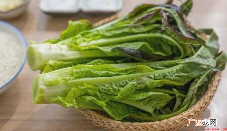 油麦菜和莴笋叶的区别是啥 油麦菜和莴笋叶的区别是什么