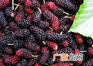 36周岁属什么的,36年出生之人属何生肖？
