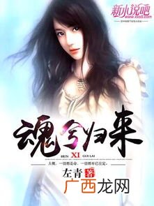 魂归来兮什么意思,过三闾庙袁湘流不尽注音版？