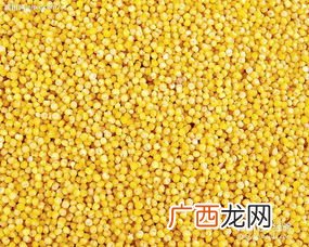 小米和大米有什么区别,米与大米的区别？