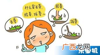 拔草是什么意思,帮老婆拔草啥意思?