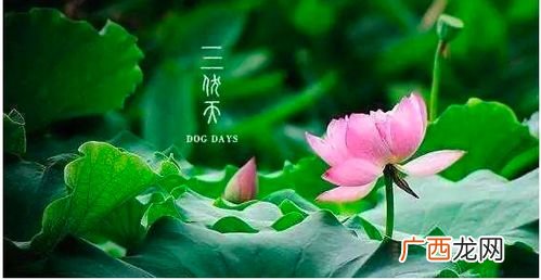 入伏从哪一天开始算起,几号入伏到几号出伏？