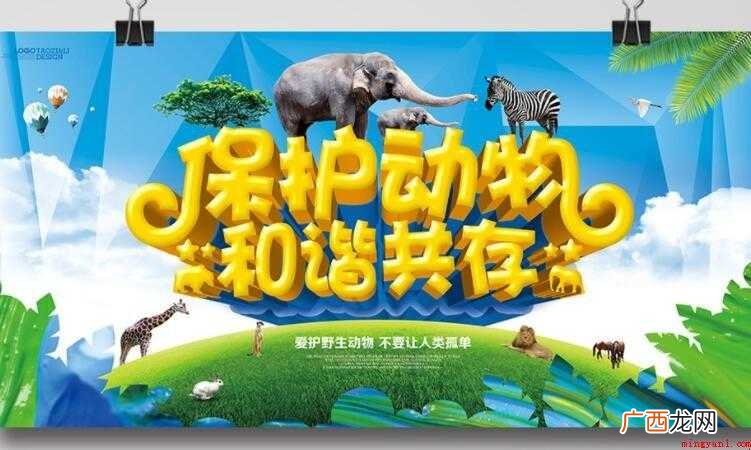 保护动物的温暖宣传语有哪些