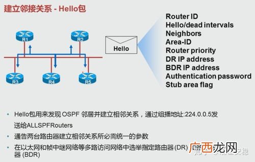 路由协议有哪些,ipv6路由协议有哪些？