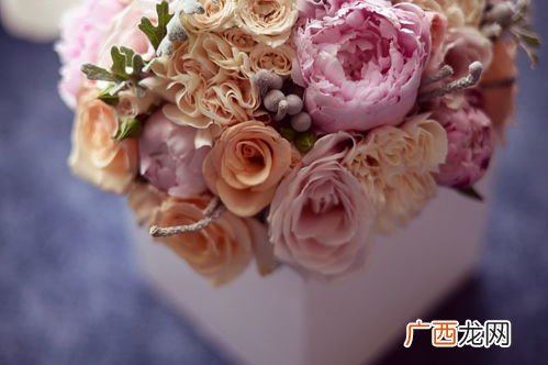 奇花初胎是什么意思,奇花初胎矞矞惶惶译文？