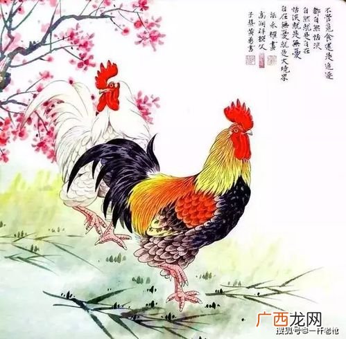 属鸡今年的运势黄历凶吉,69属鸡有牢狱之灾吗？