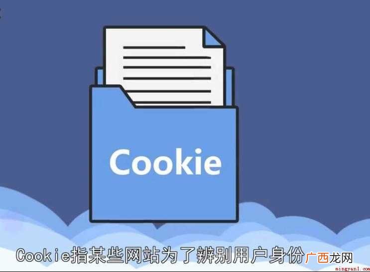 cookies是什么意思
