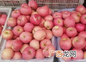 苹果什么时候成熟,七月苹果成熟吗？