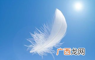 什么的羽毛词语,什么的森林什么的羽毛什么的世界什么的照片什么的境地填上合适的成语词语？