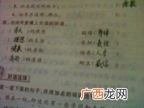 什么的叮咛填合适的词,什么的叮咛合适词？
