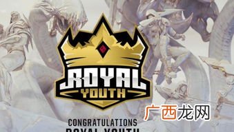 ryl战队是哪个赛区的,ryl战队和rng战队区别？