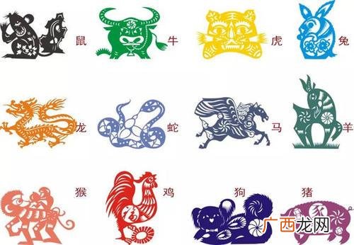 辰龙是什么意思,属相大龙小龙怎么区分?