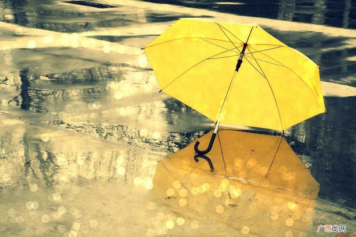 下雨的优美段落摘抄有哪些