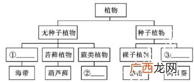 生物都有哪些分类,人在生物学中的分类是什么？