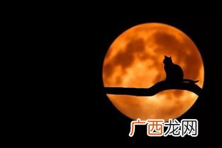 男生说晚安代表什么含义,男生要你说晚安什么意思？