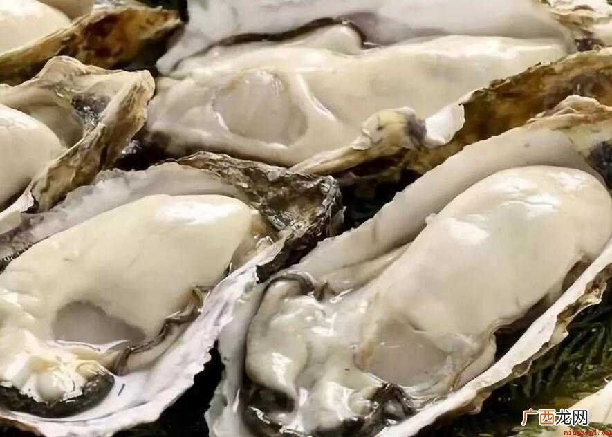 海蛎子跟生蚝的区别是什么