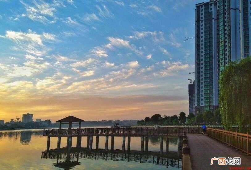 益阳特产有哪些 湖南省益阳市安化县特产 益阳特产有哪些