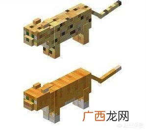 我的世界里怎么驯服豹猫,《我的世界》豹猫怎么驯服？怎么繁殖？有什么用？