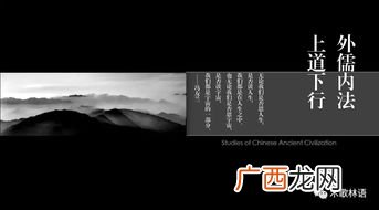 什么叫外儒内法济之以道,西汉时期儒和法的思想谁为表、谁为里？外儒内法又是谁提出的？