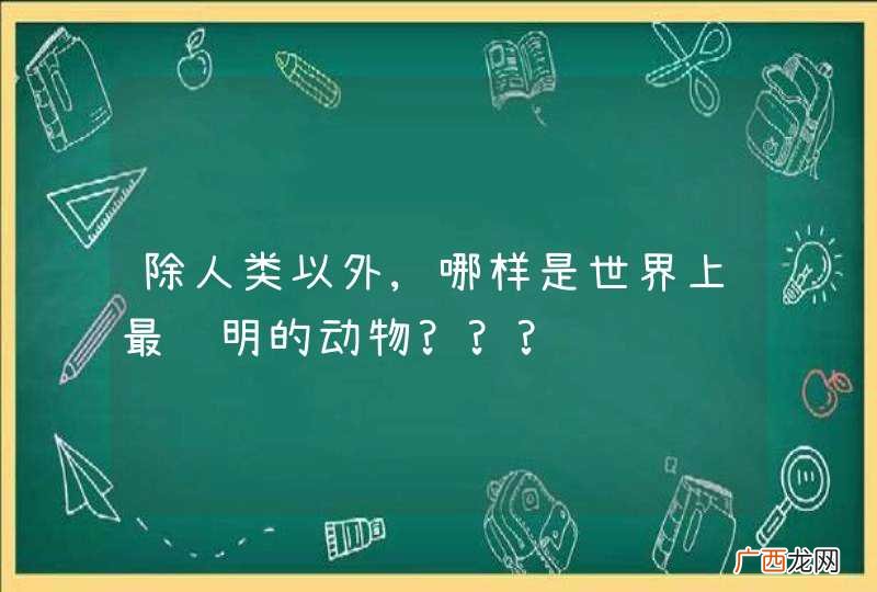 除人类以外,哪样是世界上最聪明的动物???