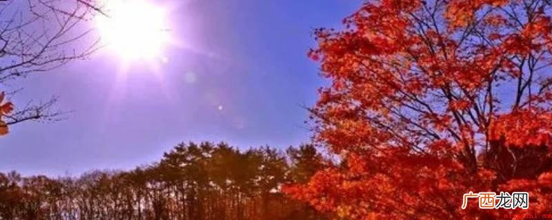 中国古语“一日之计在于晨” 九点钟的太阳叫什么