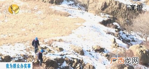 翻山越岭的动物指的是什么,藏北高原动物介绍？