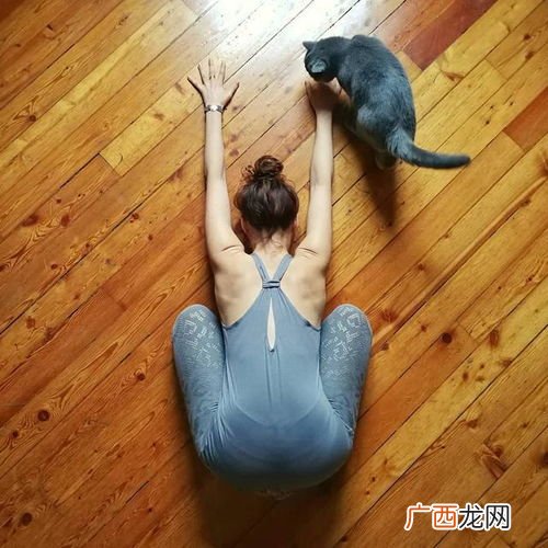 趴体是什么意思,如何委婉的向部长提出相退出部里？