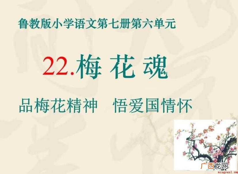 《梅花魂》课文教学目标是什么