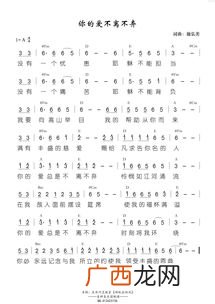 你的爱不离不弃歌词,你的爱总是不离不弃歌词？
