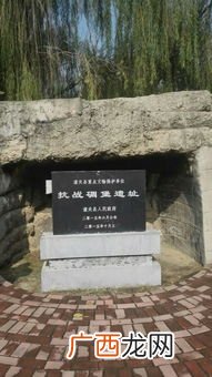 山河表里潼关路全诗,兴也苦亡也苦全文出处？