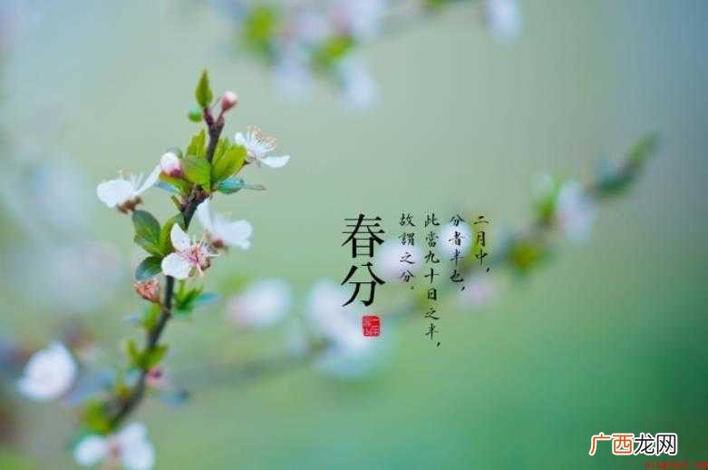 春分节气的含义是什么