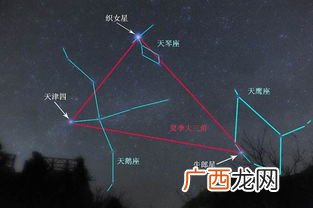 牛郎星是属于什么星座,牛郎星附近的星座?