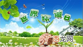 世界环境日是哪天,11月12月有哪些节日或纪念日？