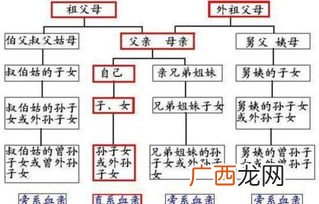 姐姐属于直系亲属吗,表姐是直系亲属吗？