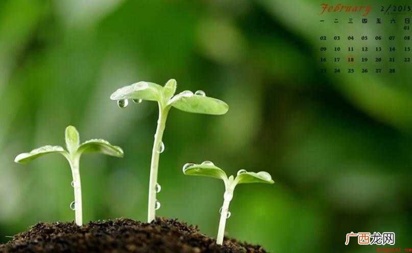 2月有多少天_历史频道 2月有多少天