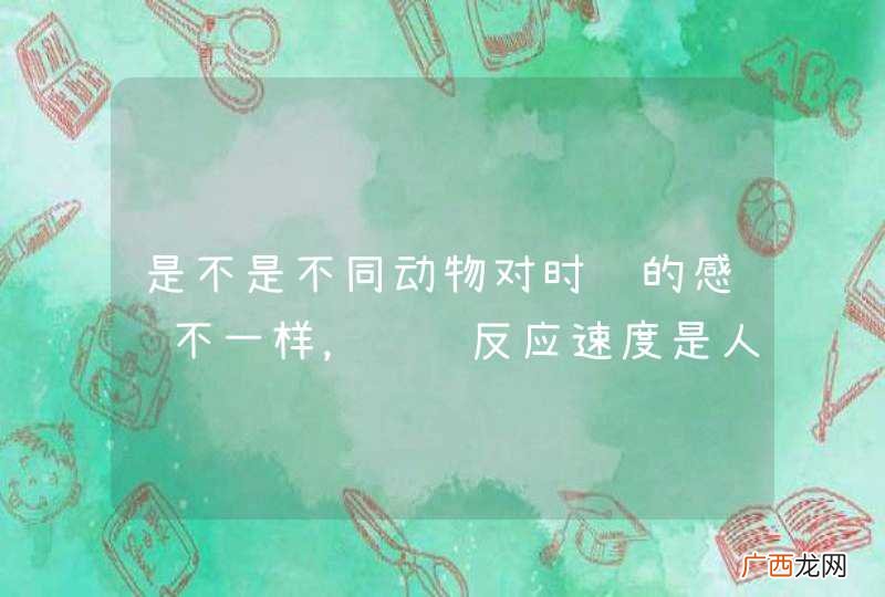 是不是不同动物对时间的感觉不一样，苍蝇反应速度是人类10倍，它要是活一个月，其实它感觉就像活了一年。