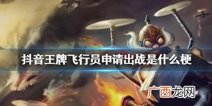 王牌飞行员申请出战是什么梗,英雄联盟哪里有飞机？