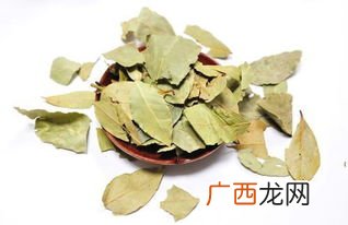 香叶在调料中的作用,桂叶与香叶有什么区别？