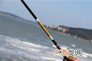 鱼竿6h和8h是什么意思,鱼竿6h19调和8h19调有什么区别？