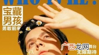 宝藏男孩的意思是什么,宝藏大叔什么意思？
