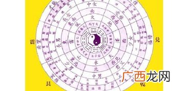 八字是指哪八字,八字指的是哪八个字？