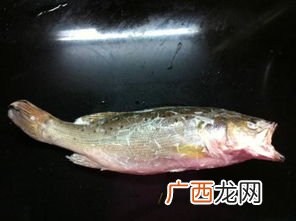 没有刺的鱼是什么鱼,无骨头鱼有哪些？